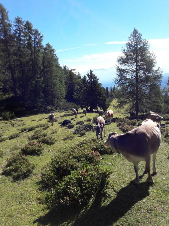 Berghotel Schlickeralm 1.616 M Fulpmes Eksteriør billede